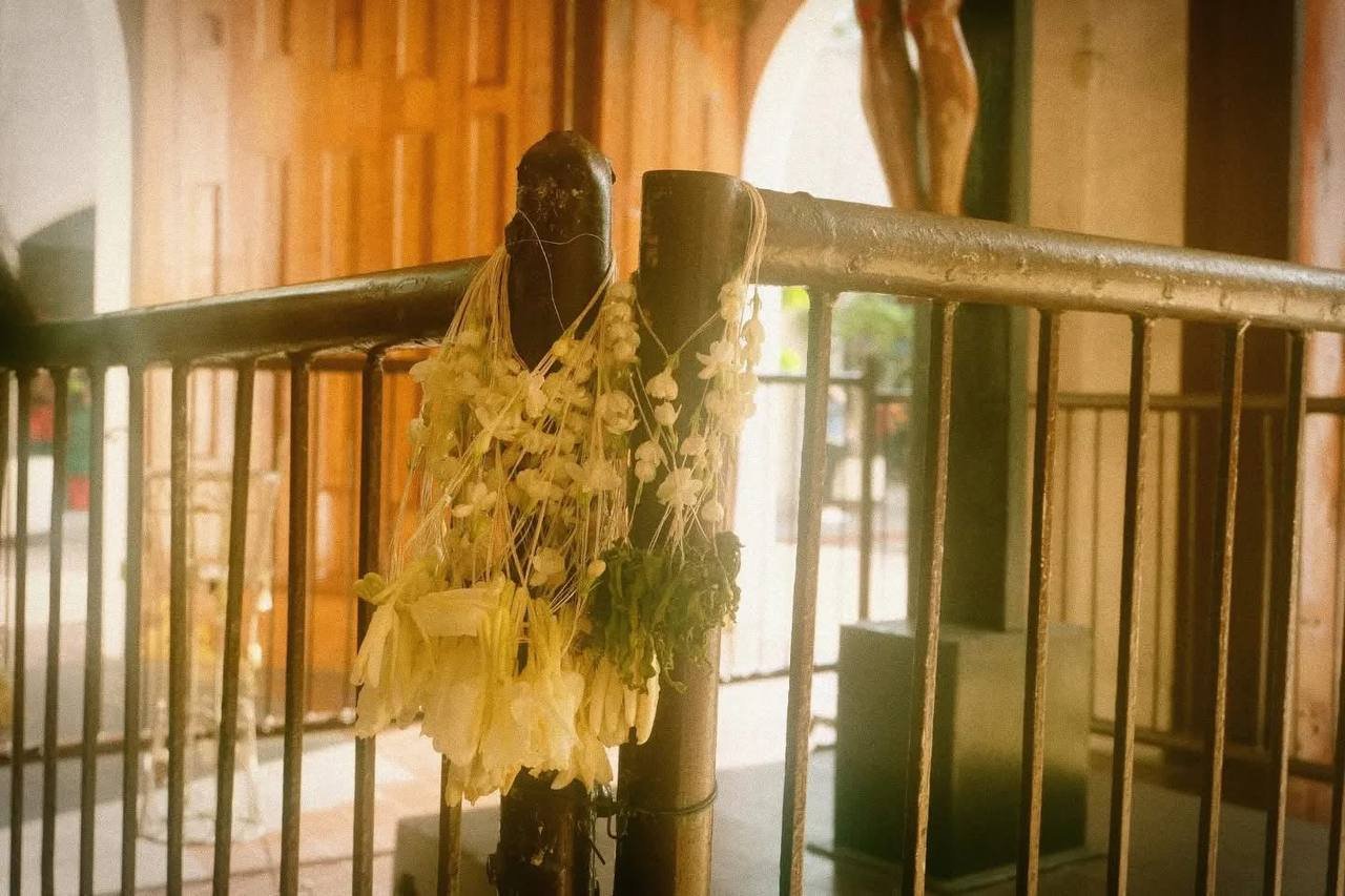 Photograph By Angelica Praxides