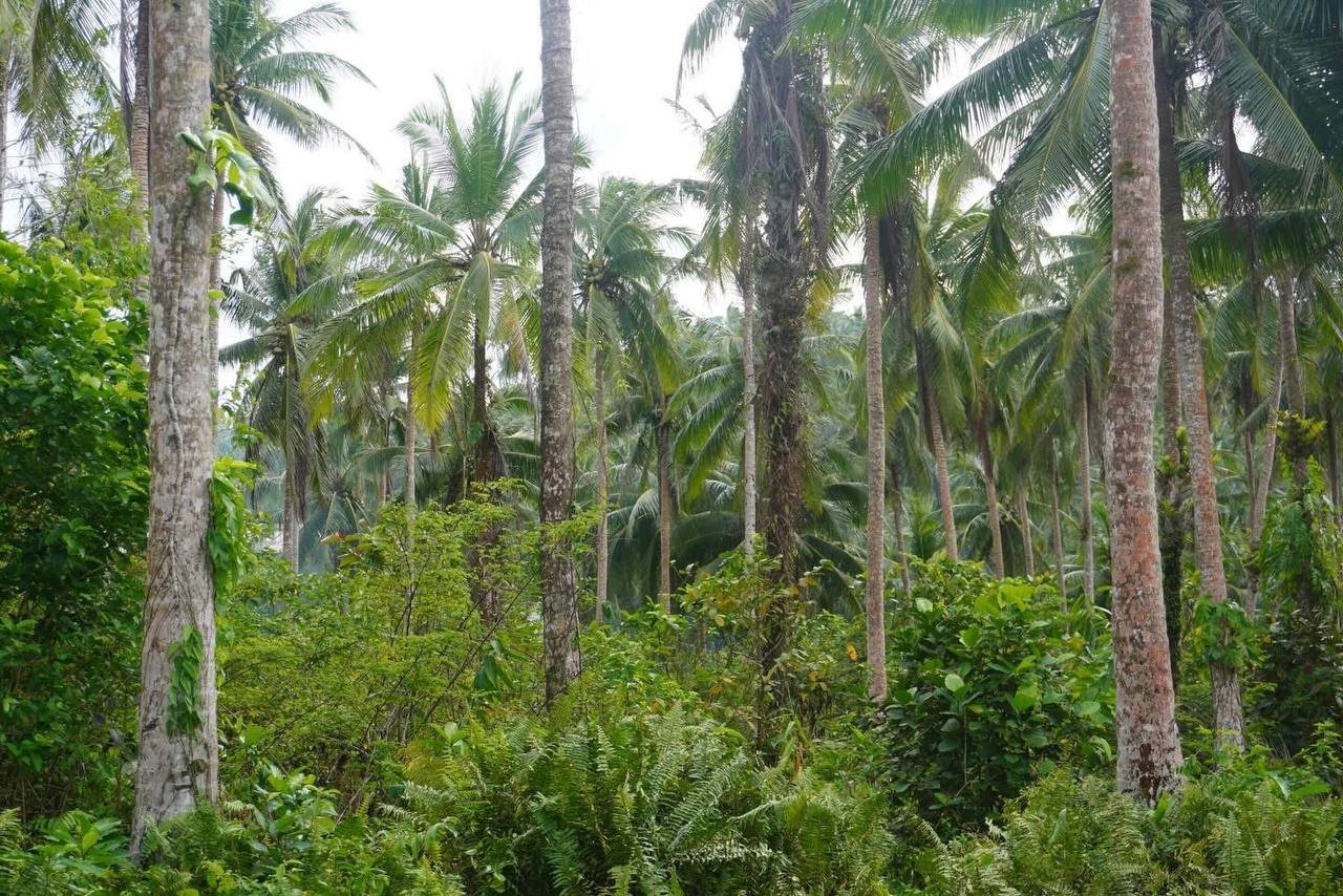 Remote island in the Philippines