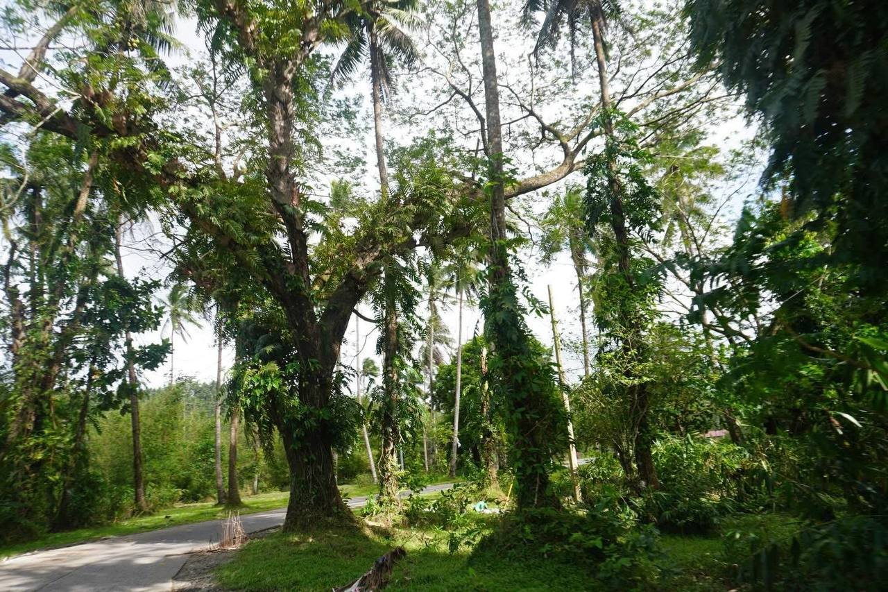 Rizal Santa Elena CN